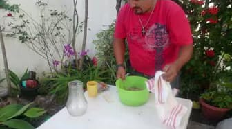 Post 9 by florimania cancun on YouTube (video)