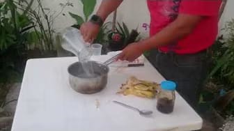 Post 7 by florimania cancun on YouTube (video)