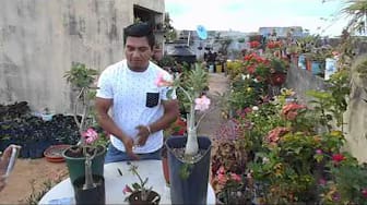 Post 1 by florimania cancun on YouTube (video)
