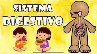 Post 10 by Profe Diaz on YouTube (video)