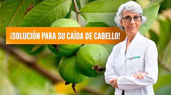 Post 8 by Angela Xavier Español on YouTube (video)