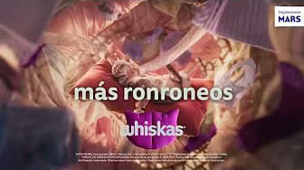 Post 9 by Whiskas México on YouTube (video)