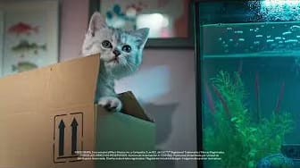 Post 5 by Whiskas México on YouTube (video)