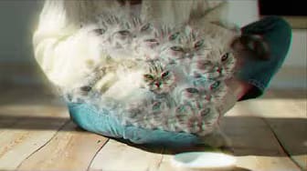 Post 8 by Whiskas México on YouTube (video)