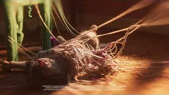 Post 4 by Whiskas México on YouTube (video)