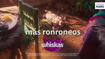 Post 1 by Whiskas México on YouTube (video)