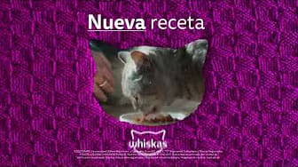 Post 6 by Whiskas México on YouTube (video)