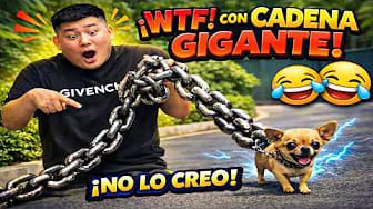 Post 3 by DromTV - Los Mejores Videos Divertidos on YouTube (video)