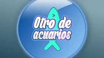 Post 9 by Otro de Acuarios on YouTube (video)