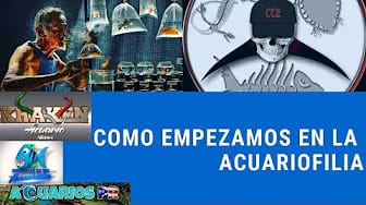 Post 7 by Otro de Acuarios on YouTube (video)
