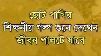 Post 6 by Vanga Hridoy on YouTube (video)