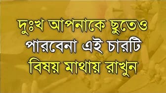 Post 3 by Vanga Hridoy on YouTube (video)