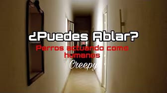Post 6 by Werdst Creepys on YouTube (video)