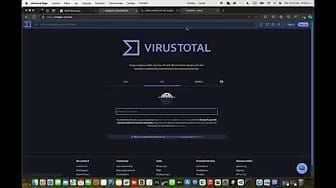 Post 10 by Saúl Bypass on YouTube (video)