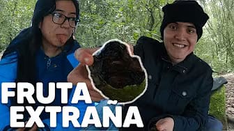 Post 7 by Francisco HDZ on YouTube (video)