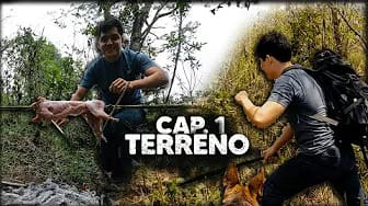 Post 5 by Francisco HDZ on YouTube (video)