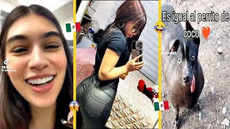 Post 7 by Mister Mexicano on YouTube (video)