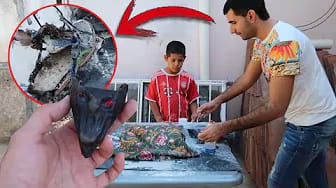 Post 2 by StopDel Vlogs on YouTube (video)