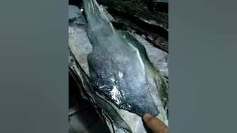 Post 10 by CURTIDOS Y ARTESANIAS DON MIGUEL on YouTube (video)