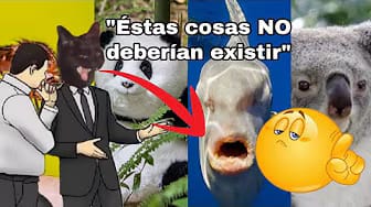 Post 7 by LuPa_Mx on YouTube (video)