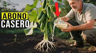 Post 1 by Secretos De Jardineria on YouTube (video)