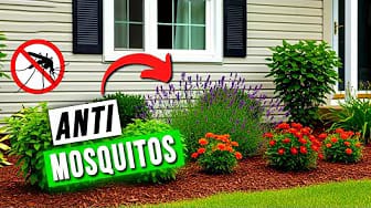 Post 7 by Secretos De Jardineria on YouTube (video)