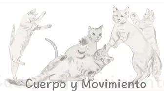 Post 10 by Cuerpo y Movimiento on YouTube (video)