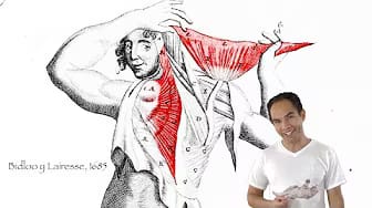 Post 6 by Cuerpo y Movimiento on YouTube (video)