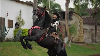Post 3 by Carlos Alvarado Oficial on YouTube (video)