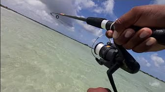 Post 6 by TWO CRAZY BOYS on YouTube (video)