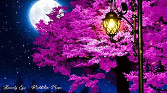 Post 1 by Heavenly Eyes - Meditation Music on YouTube (video)