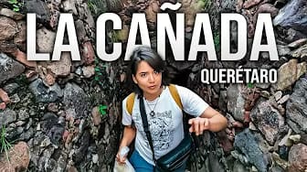 Post 6 by Cecy Walks on YouTube (video)