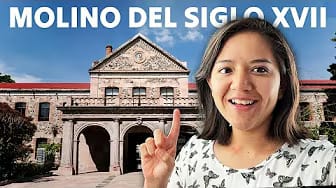 Post 5 by Cecy Walks on YouTube (video)