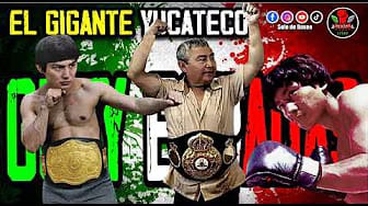 Post 9 by Solo de Boxeo Shorts on YouTube (video)