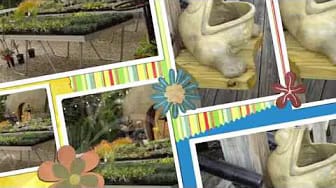 Post 8 by Visualización creativa y Acción on YouTube (video)