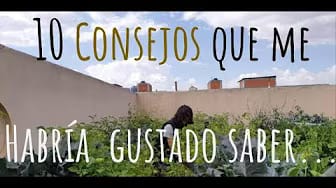 Post 5 by Huerto Urbano Mar Redondo on YouTube (video)
