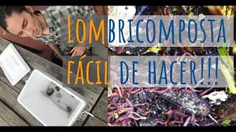Post 4 by Huerto Urbano Mar Redondo on YouTube (video)