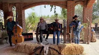 Post 4 by Mente Maestra Oficial on YouTube (video)