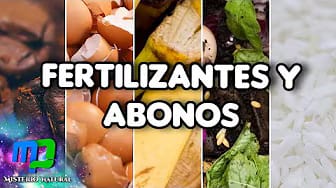 Post 6 by Misterio Natural on YouTube (video)