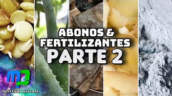 Post 3 by Misterio Natural on YouTube (video)