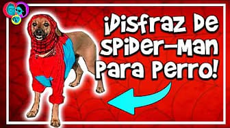 Post 7 by Los Esposaurios on YouTube (video)