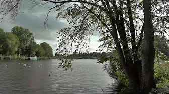 Post 5 by Manuel Briceño on YouTube (video)