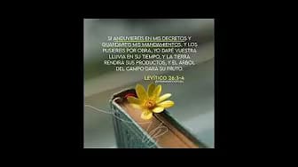 Post 8 by 📖PALABRA DE VIDA MUSIC📖 on YouTube (video)
