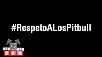 Post 10 by Mi Amigo on YouTube (video)