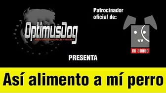 Post 8 by Mi Amigo on YouTube (video)