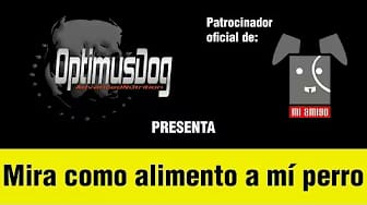 Post 1 by Mi Amigo on YouTube (video)