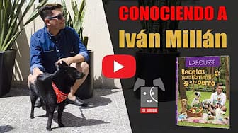 Post 5 by Mi Amigo on YouTube (video)