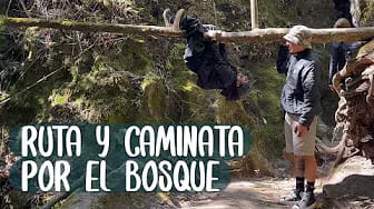 Post 6 by El CMonti on YouTube (video)