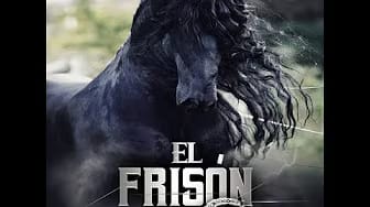 Post 5 by ChuyZuñigaOficial on YouTube (video)