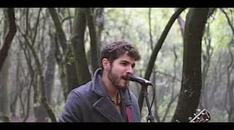 Post 10 by Ducks on YouTube (video)